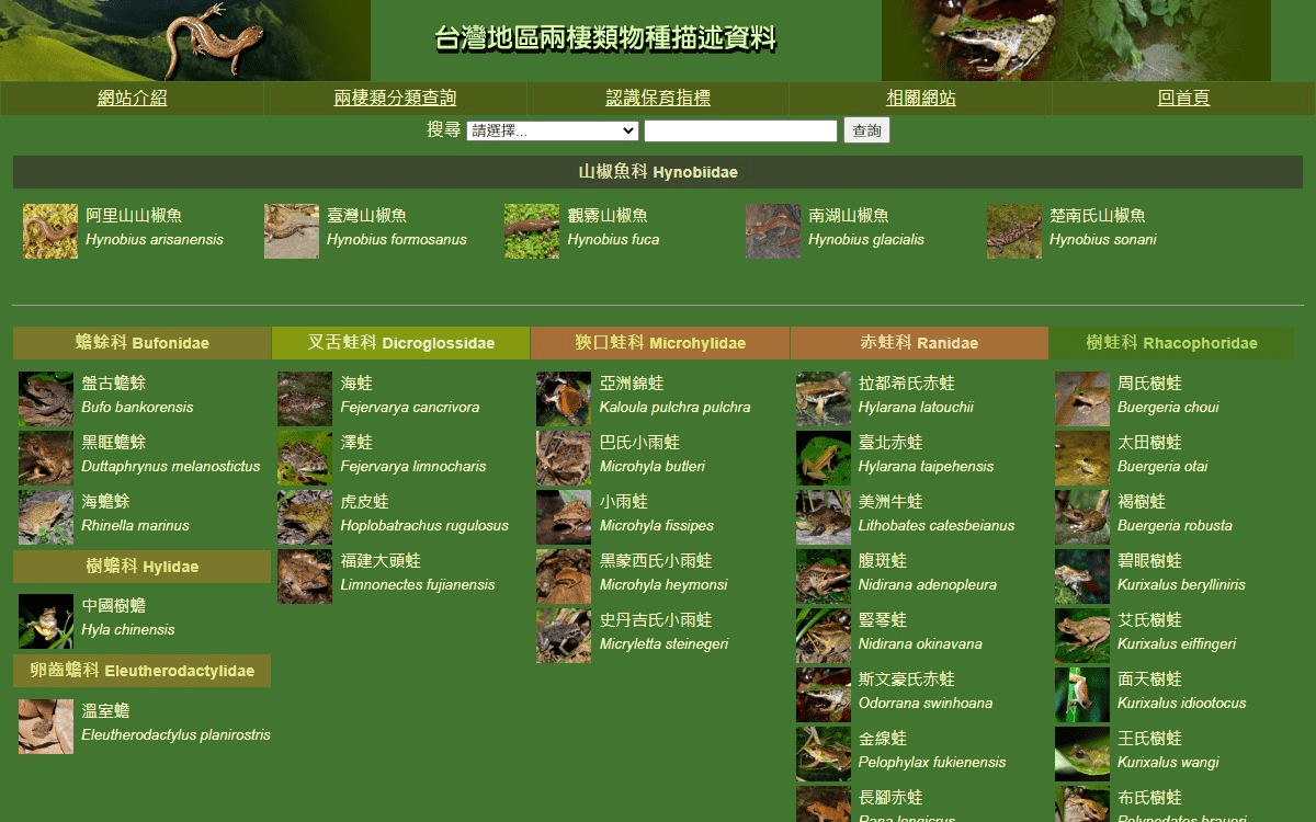 兩棲類物種描述資料網